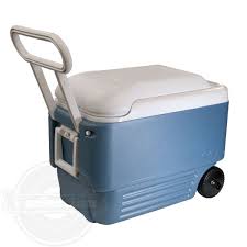 Cooler