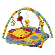 Play Mat/Gym